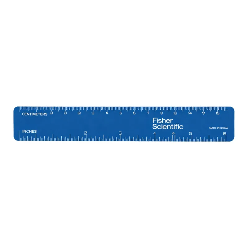 Thermo Fisher Scientific 6 in. (150mm) Ruler