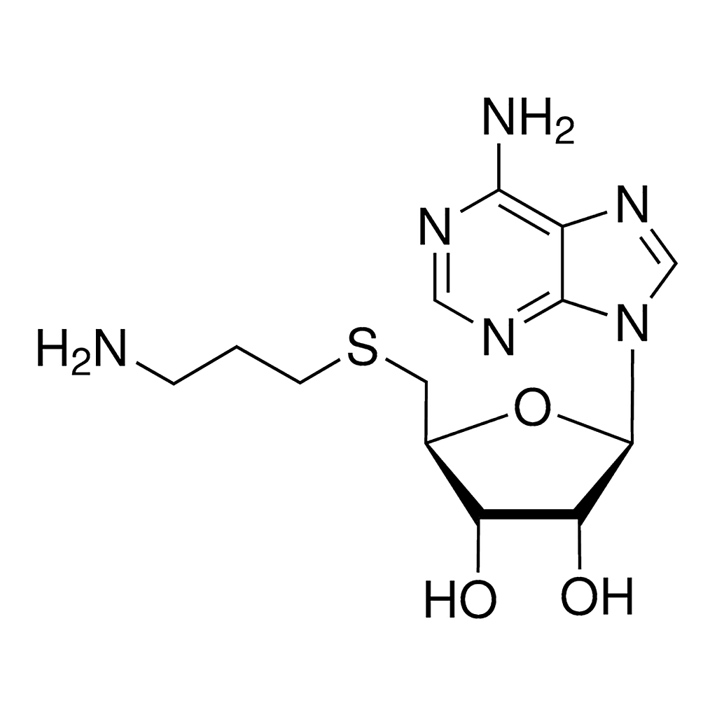 Merck S-(5'-Adenosyl)-3-thiopropylamine