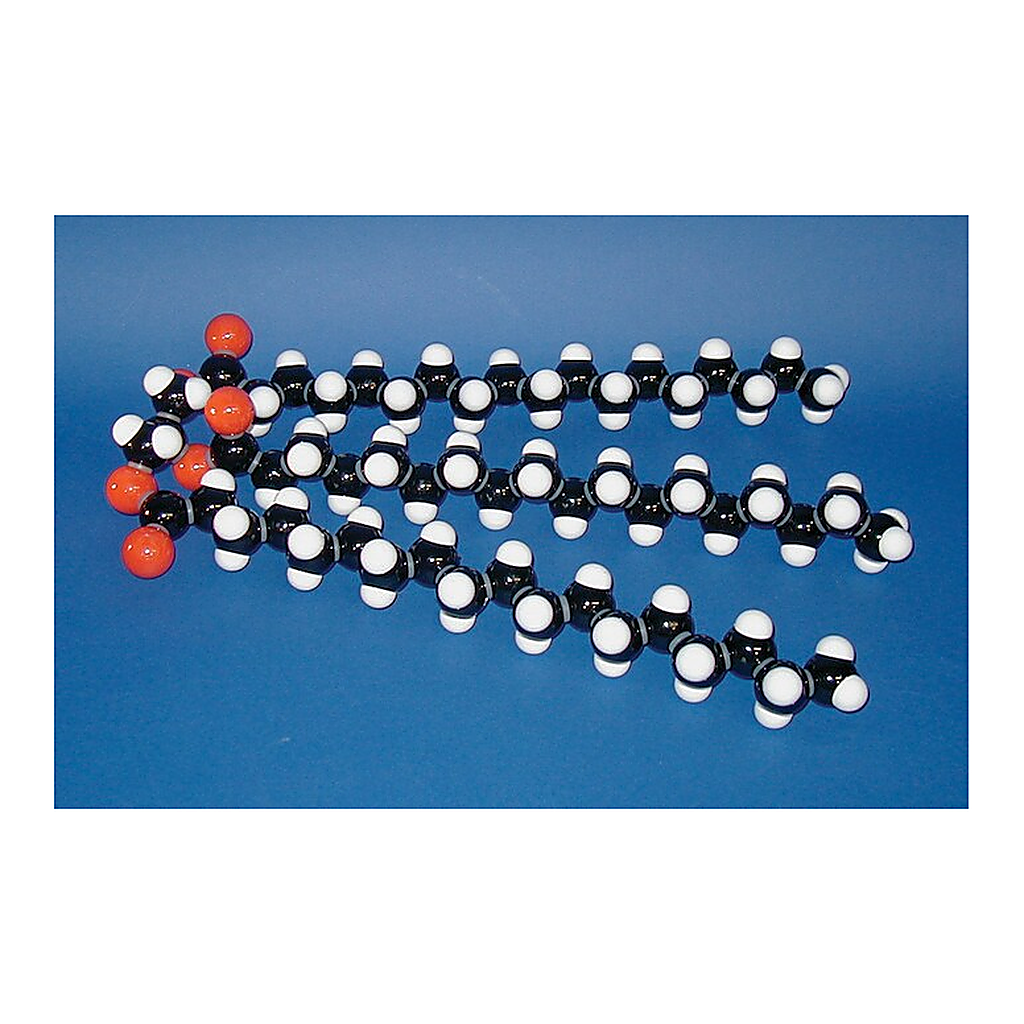 Merck Molymod(R) Individual organic model set