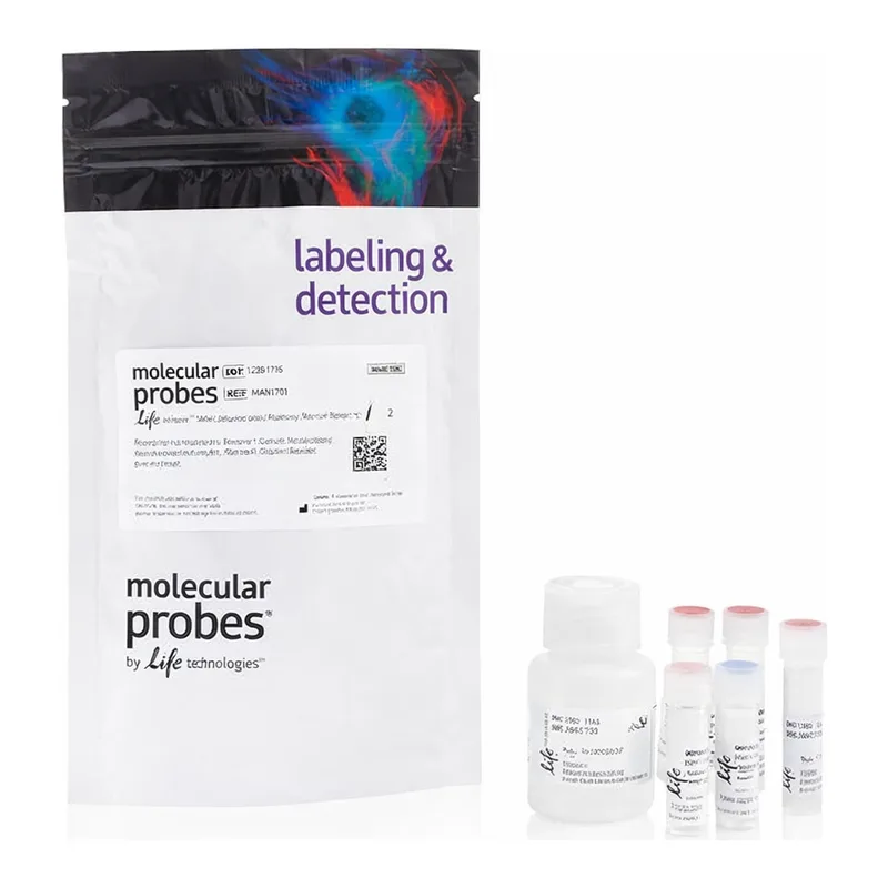 Thermo Fisher Scientific Mitochondrial Membrane Potential Apoptosis Kit, with Mitotracker Red & Annexin V Alexa Fluor 488, for flow cytometry
