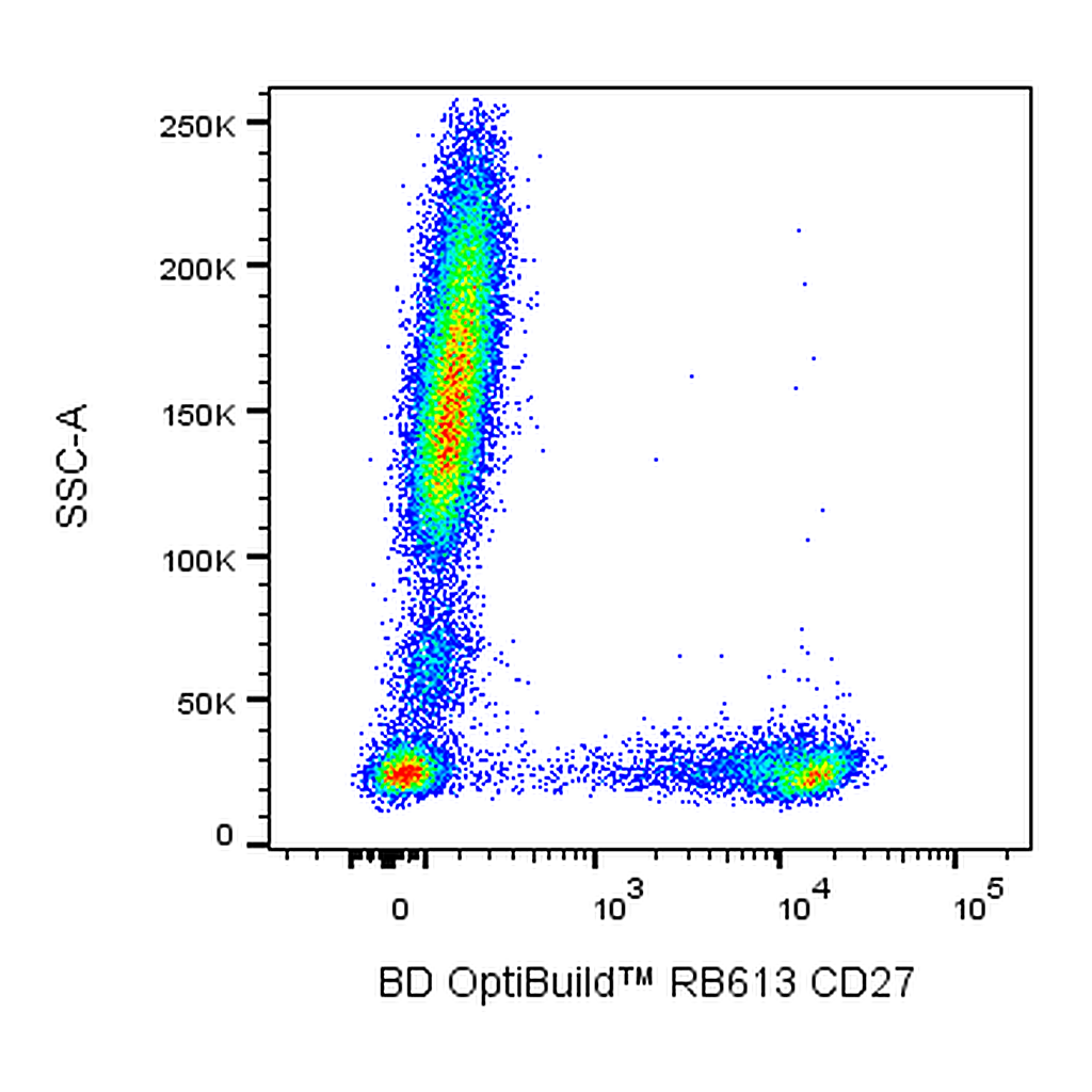 BD RB613 Mouse Anti-Human CD27