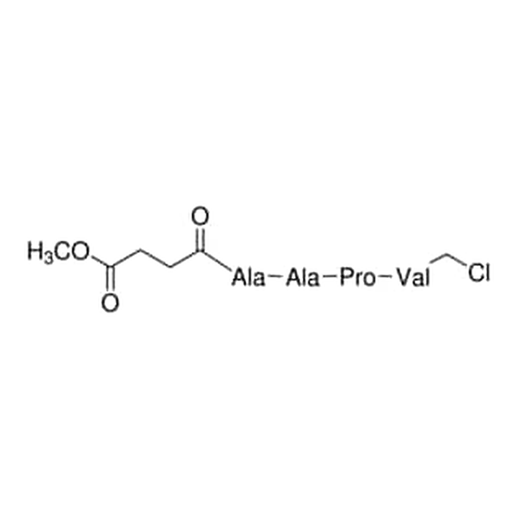 Merck N-METHOXYSUCCINYL-ALA-ALA-PRO-VAL      &