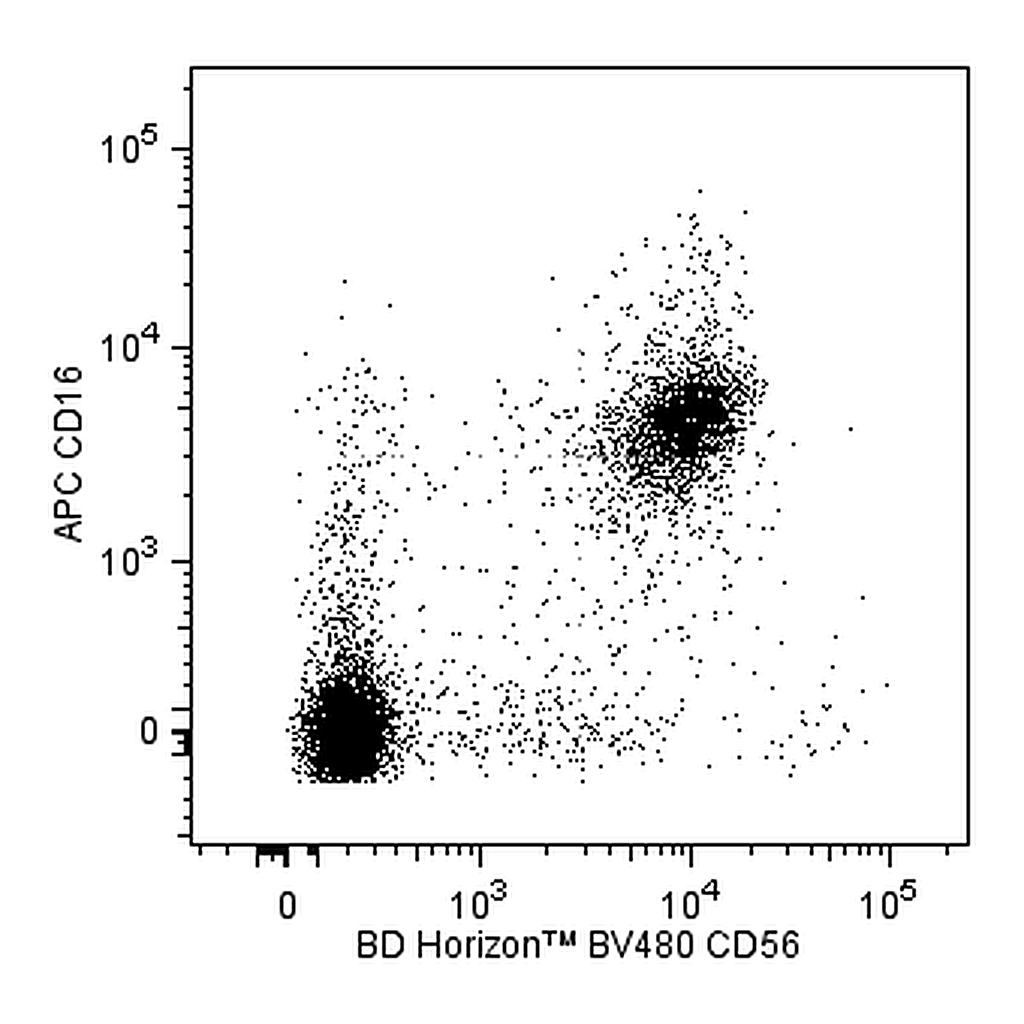 BD BV480 Mouse Anti-Human CD56