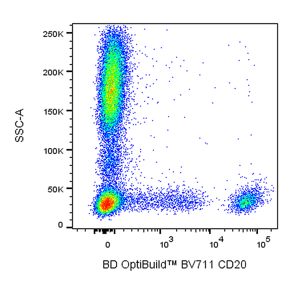 BD BV711 Mouse Anti-Human CD20