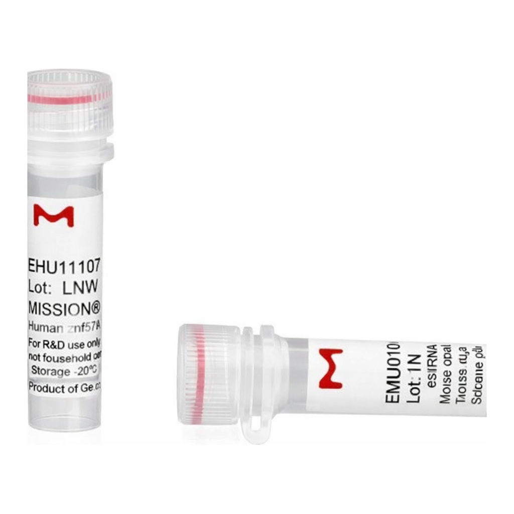 Merck MISSION(R) esiRNA