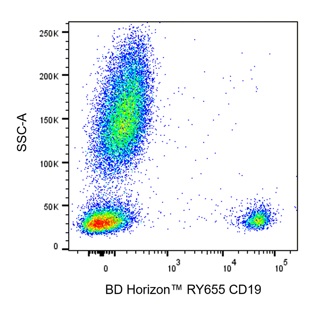 BD RY655 Mouse Anti-Human CD19
