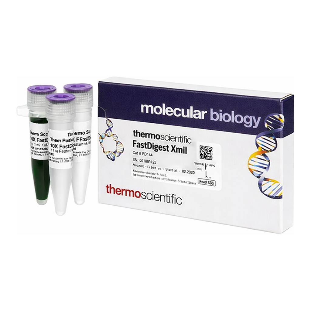Thermo Fisher Scientific FastDigest XmiI
