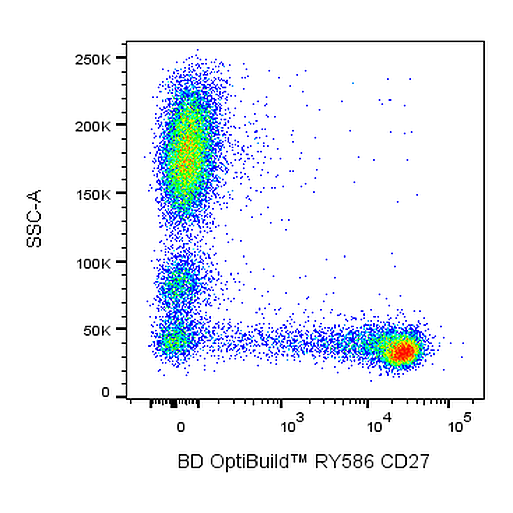 BD RY586 Mouse Anti-Human CD27