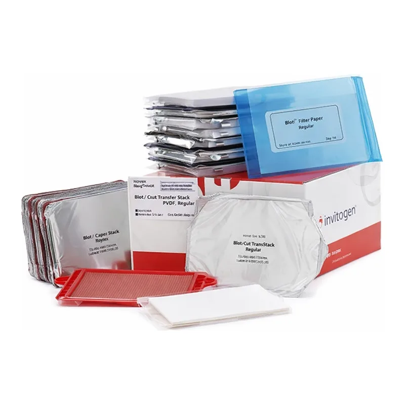 Thermo Fisher Scientific iBlot Transfer Stack, PVDF, regular size, 10 sets