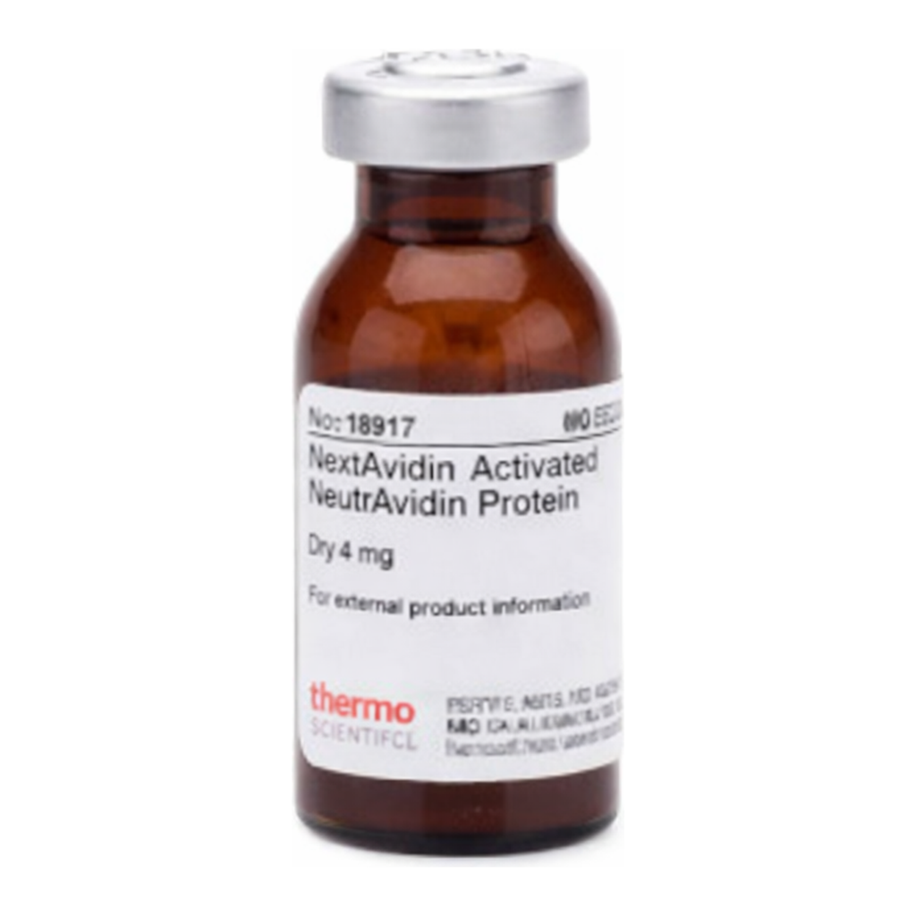 Thermo Fisher Scientific NeutrAvidin Protein, Maleimide-Activated