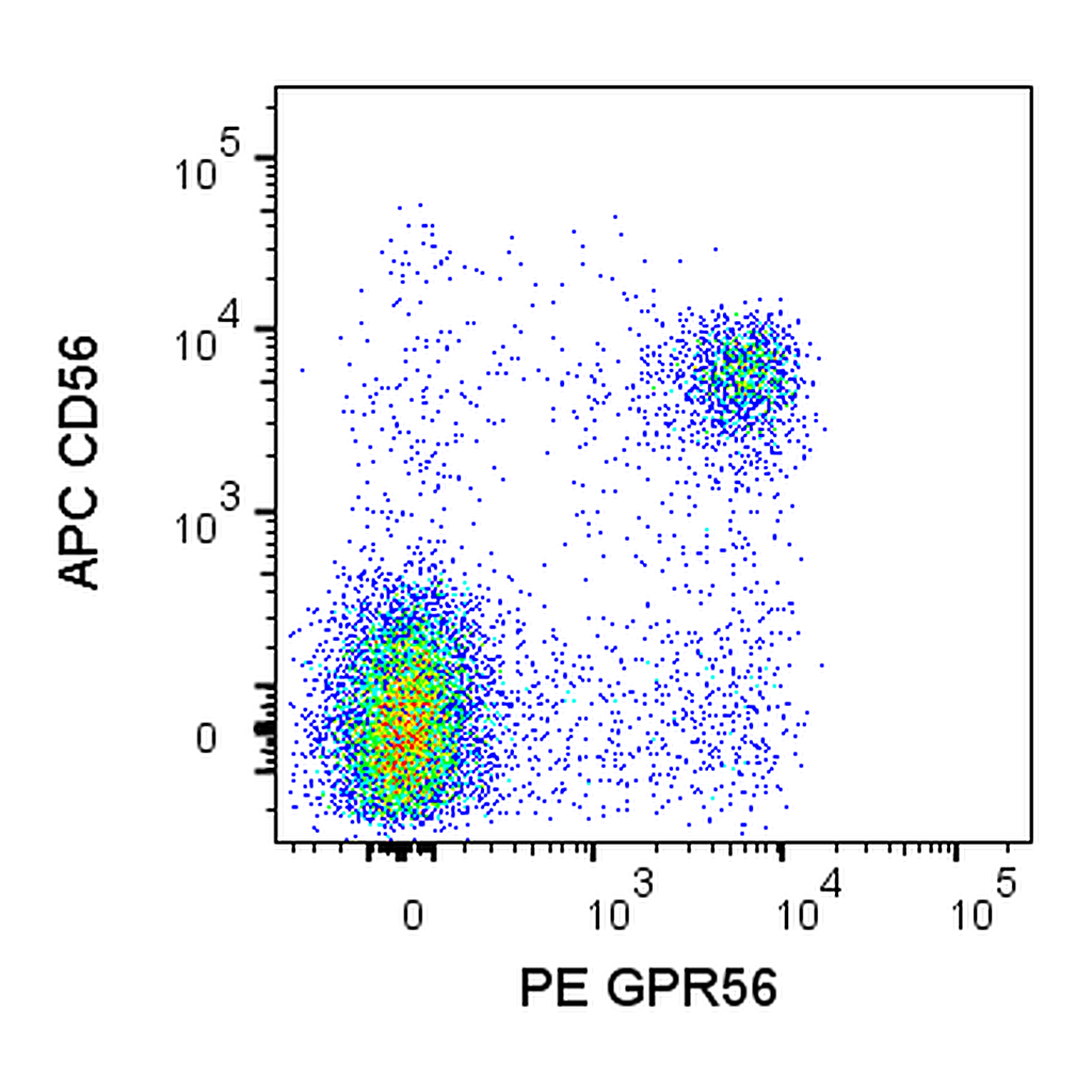 BD PE Mouse Anti-Human GPR56