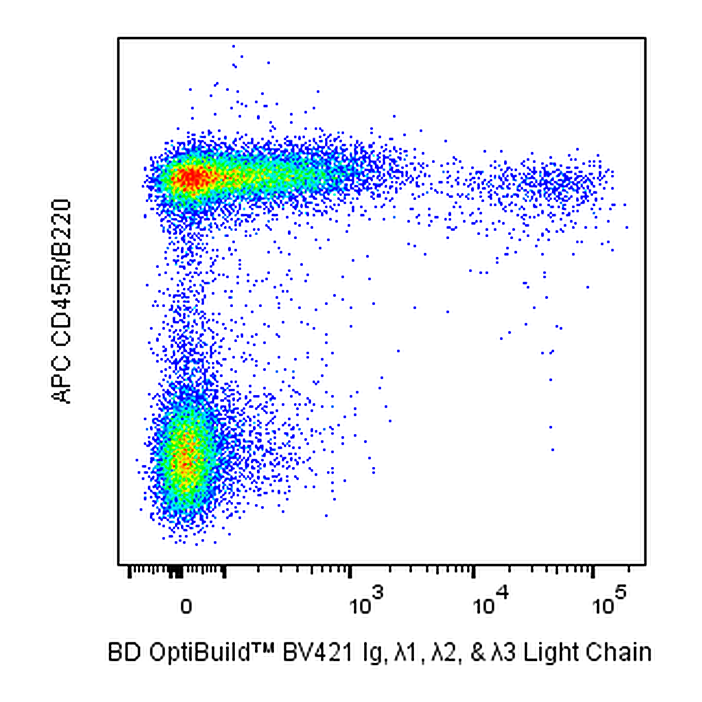 BD BV421 Rat Anti-Mouse Ig, λ1, λ2 & λ3 Light Chain