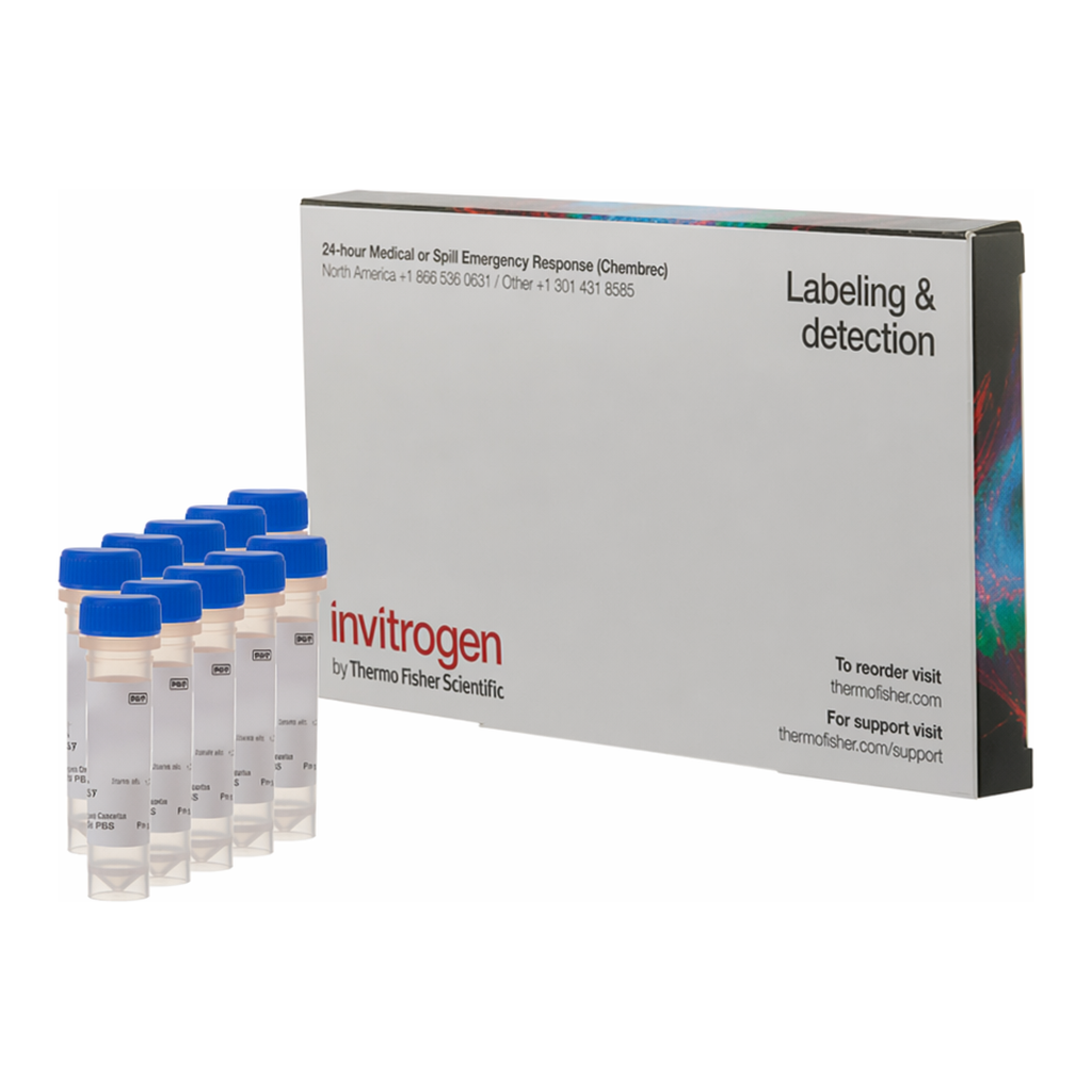 Thermo Fisher Scientific Fluo-4, AM, cell permeant