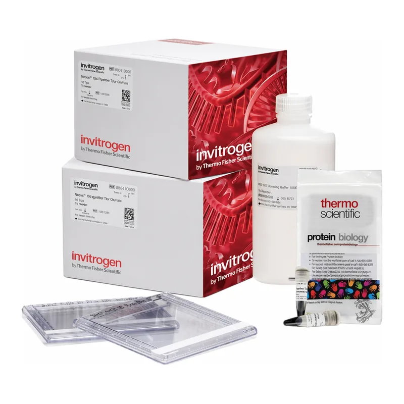 Thermo Fisher Scientific Novex Tris-Glycine Resupply Pack, 4 to 20%, Wedgewell format, 1 Kit