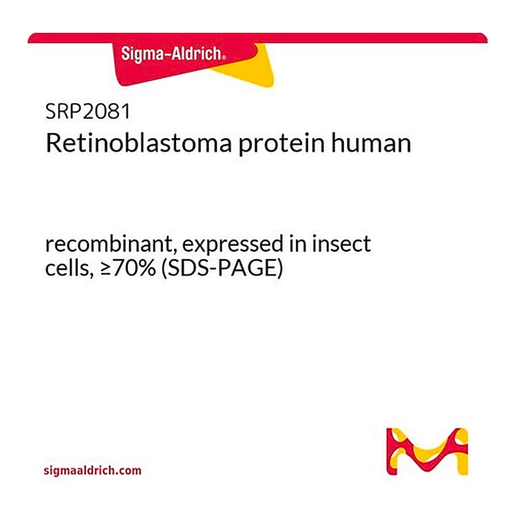 Merck Retinoblastoma protein human