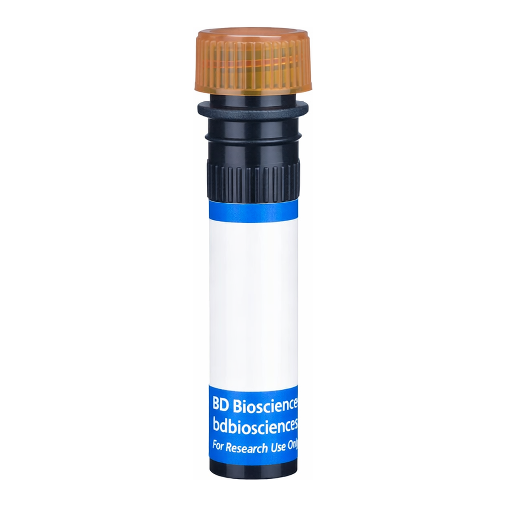 BD RB705 Mouse Anti-Human P-glycoprotein (CD243)