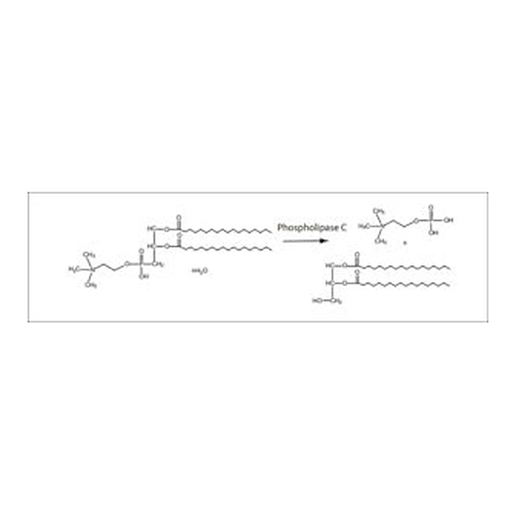 Merck PHOSPHOLIPASE C TYPE I FROM C PERFRINGEN