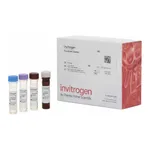Thermo Fisher Scientific IGFBP-2 Human ProcartaPlex Simplex Kit
