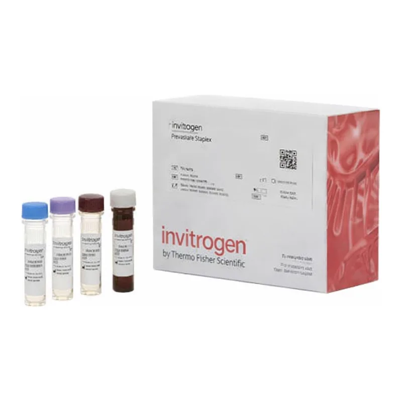 Thermo Fisher Scientific IGFBP-2 Human ProcartaPlex Simplex Kit
