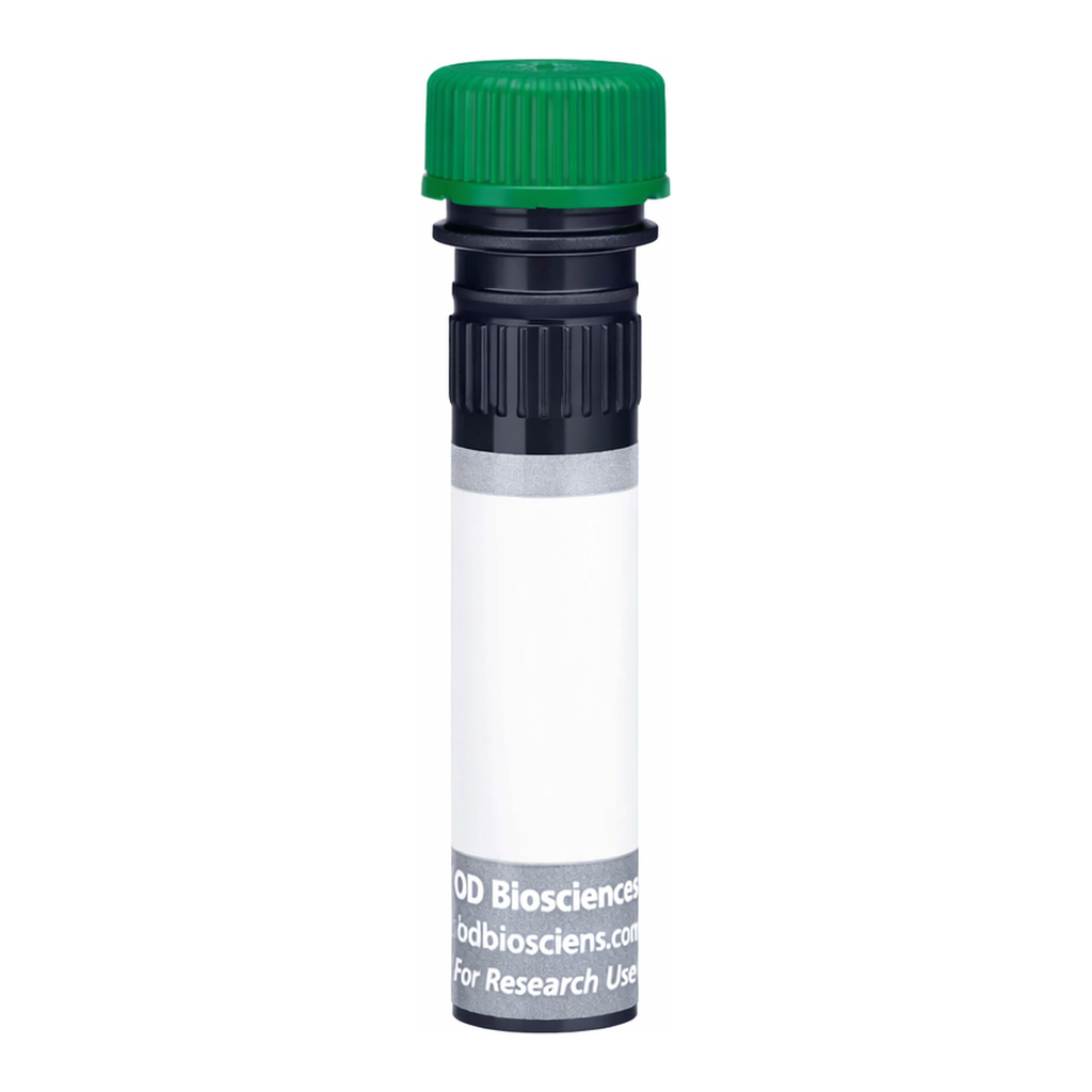 BD BUV563 Mouse Anti-Mouse Vβ 12 T-Cell Receptor