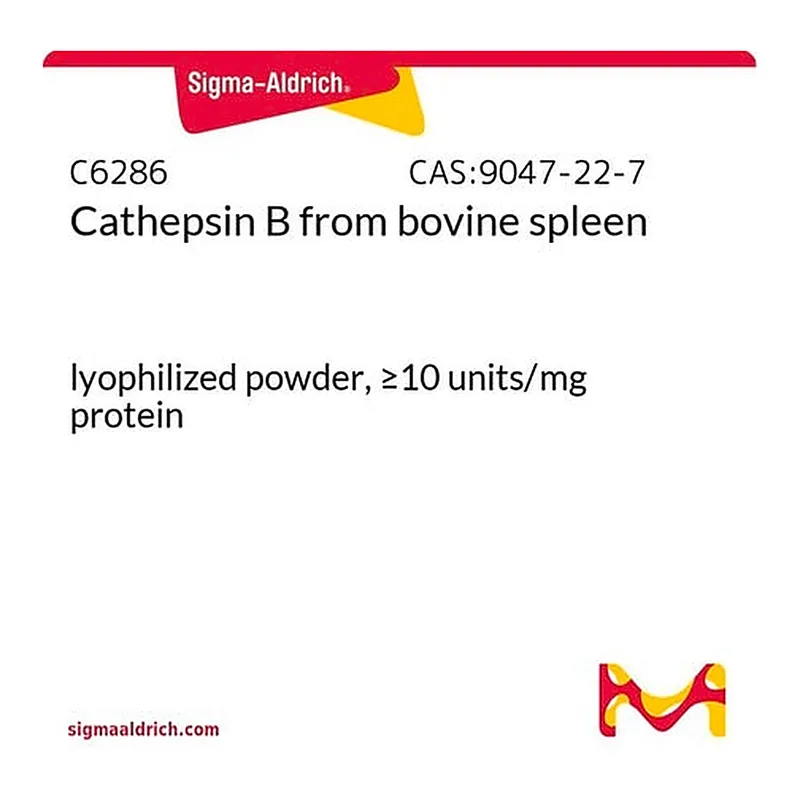 Merck Cathepsin B from bovine spleen