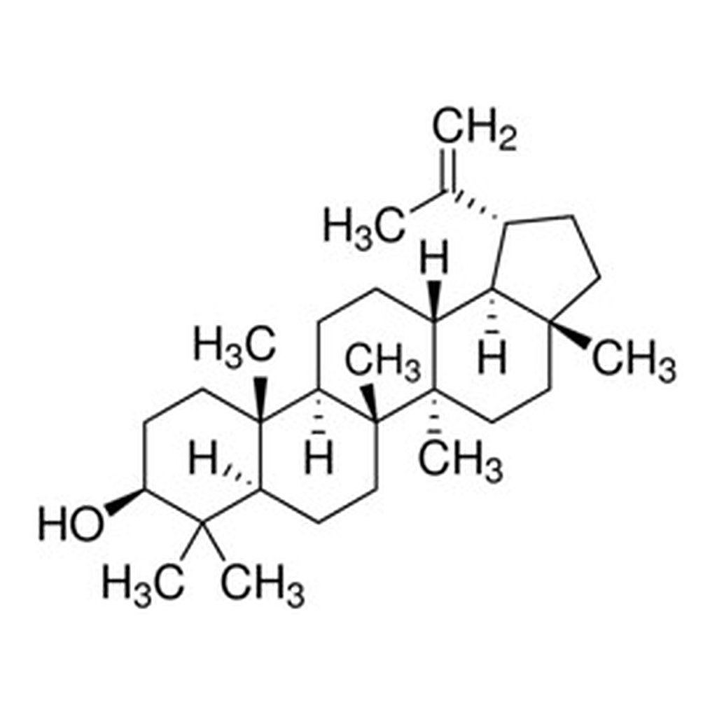 Merck LUPEOL