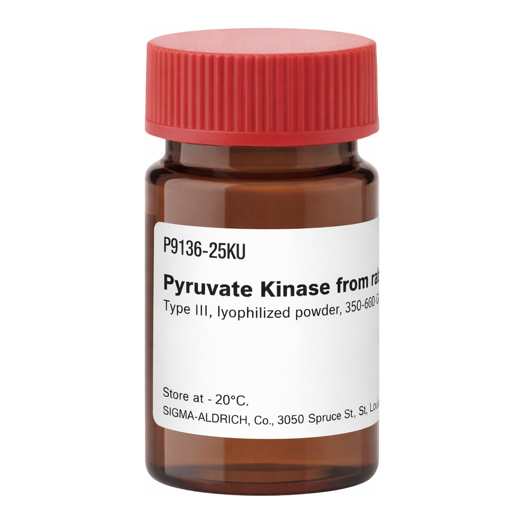 Merck PYRUVATE KINASE TYPE III FROM RABBIT MUS