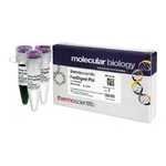 Thermo Fisher Scientific FastDigest PfoI