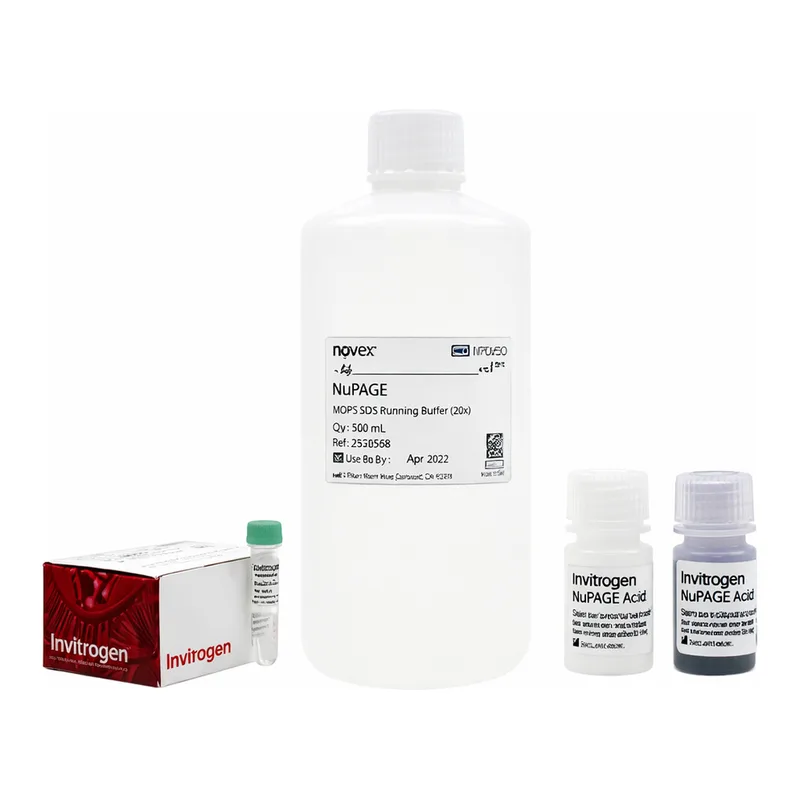 Thermo Fisher Scientific NuPAGE MOPS SDS Buffer Kit (for Bis-Tris Gels)