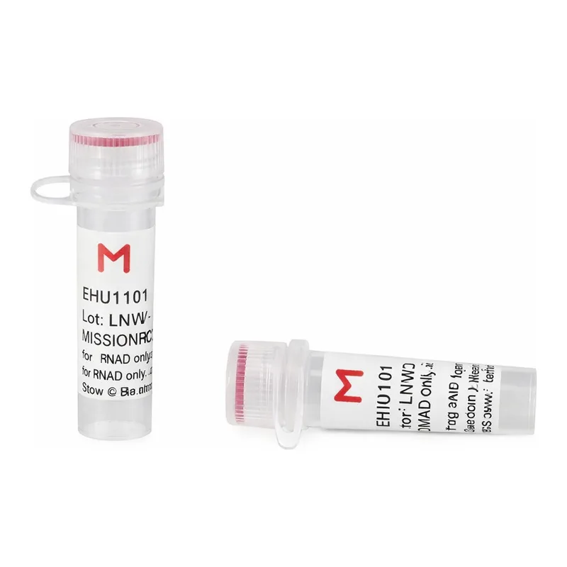Merck ESIRNA HUMAN PTPN1