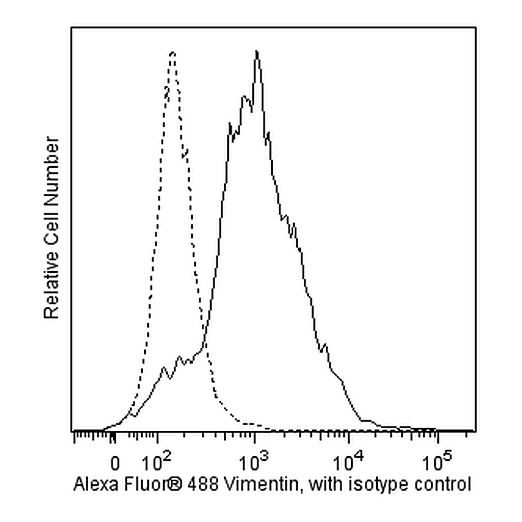 BD Alexa Fluor® 488 Mouse Anti-Human Vimentin