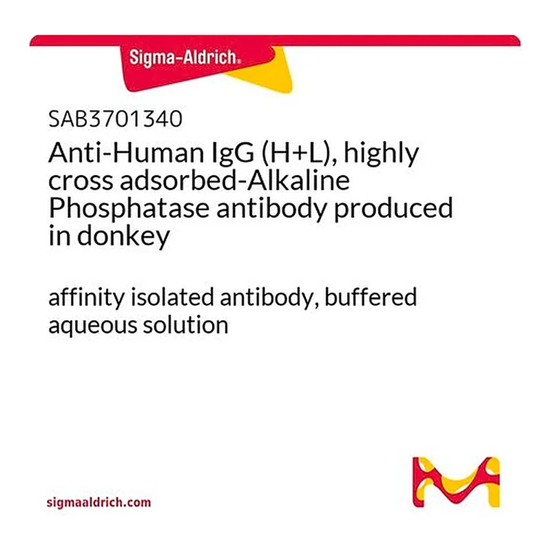 Merck Anti-Human IgG (H+L), highly cross adsorbed-Alkaline Phosphatase antibody produced in donkey