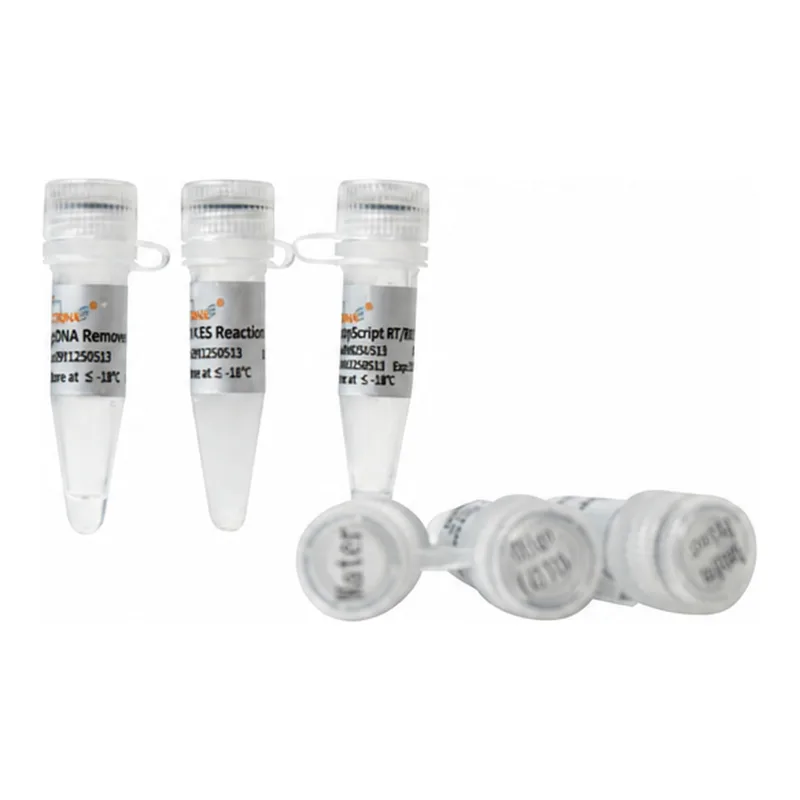 EasyScript® One-Step gDNA Removal and cDNA Synthesis SuperMix