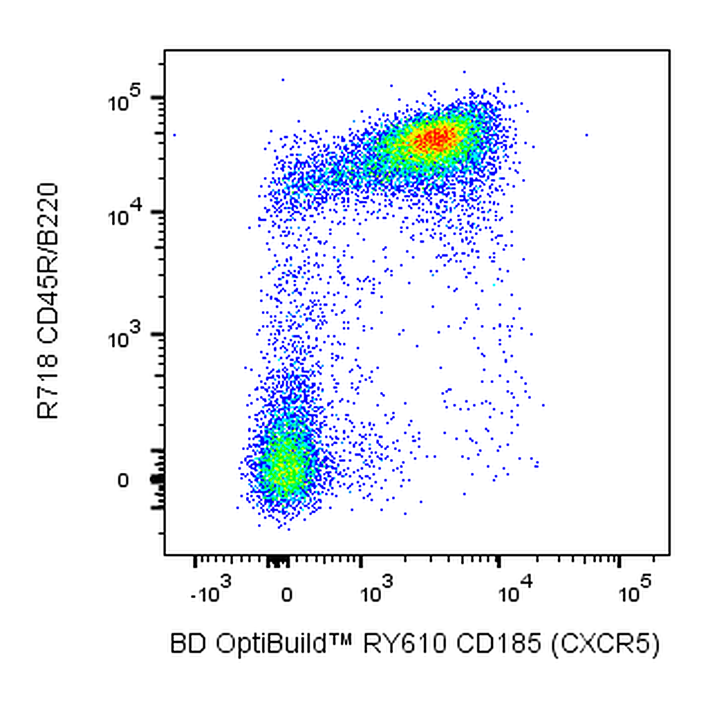 BD RY610 Rat Anti-Mouse CD185 (CXCR5)