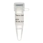 Thermo Fisher Scientific dGTP Solution (100 mM)