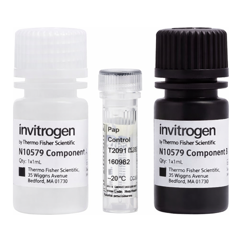 Thermo Fisher Scientific NovaBright Phospha-Light EXP Assay Kit for SEAP (Secreted Placental Alkaline Phosphatase) Reporter Gene Detection, 2 x 96 well plates, 192 assays