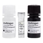 Thermo Fisher Scientific NovaBright Phospha-Light EXP Assay Kit for SEAP (Secreted Placental Alkaline Phosphatase) Reporter Gene Detection, 2 x 96 well plates, 192 assays
