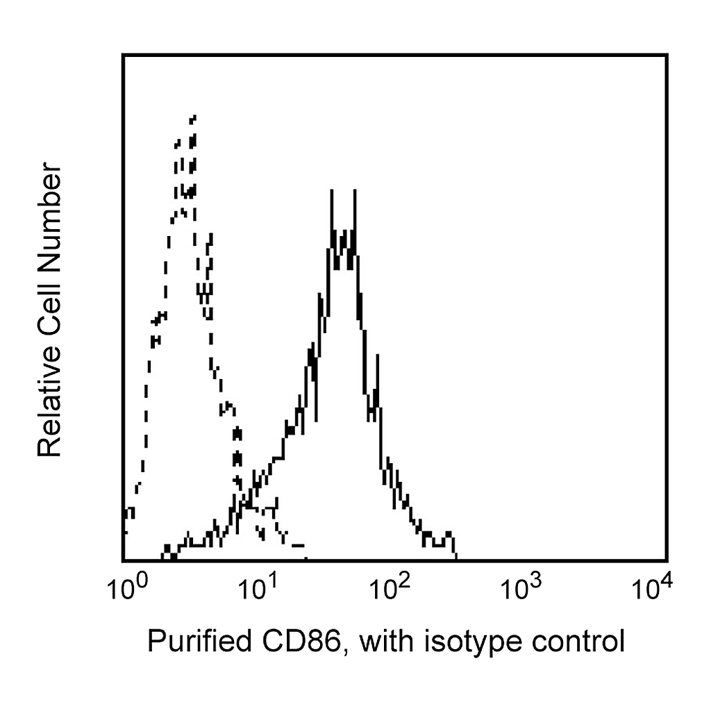BD Purified Mouse Anti-Human CD86