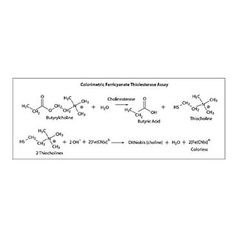 Merck CHOLINESTERASE, ACETYL AMPHIPHILIC FROM