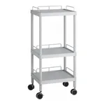 AS ONE Mobile Easy Cart (Tall Type/Regular 31) Gray 3 Sages Wiith Guard Frame ME31H