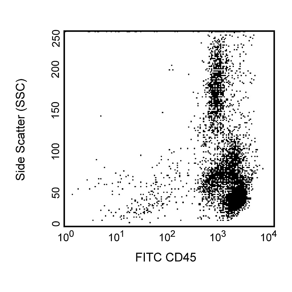 BD FITC Mouse Anti-NHP CD45