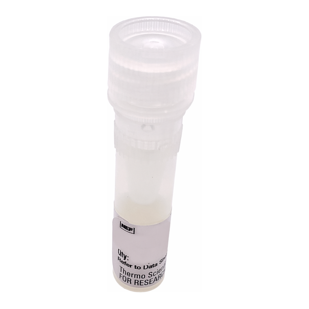 Thermo Fisher Scientific pTK-Green Renilla Luc Vector for Luciferase Assays
