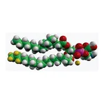 Merck 15:0-18:1-D7-PS