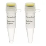 Thermo Fisher Scientific DraI, HC (50 U/μL)