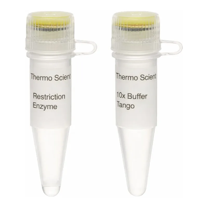 Thermo Fisher Scientific DraI, HC (50 U/μL)