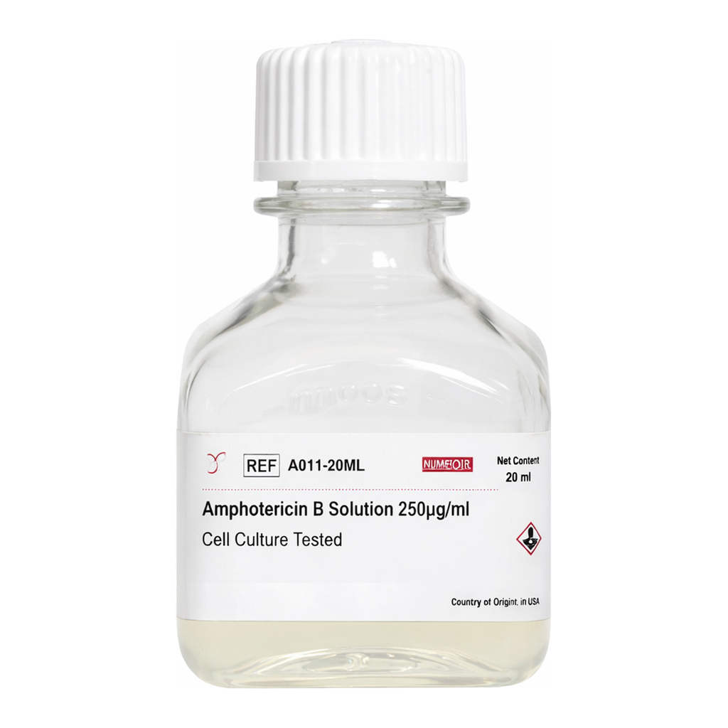 Himedia Amphotericin B Solution 250µg/ml Cell Culture Tested
