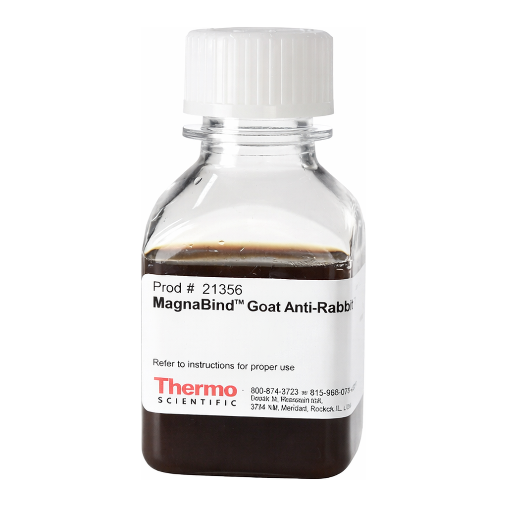 Thermo Fisher Scientific MagnaBind Goat Anti-Rabbit IgG