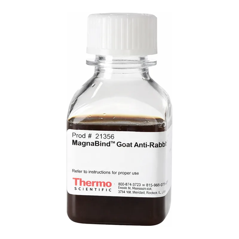 Thermo Fisher Scientific MagnaBind Goat Anti-Rabbit IgG
