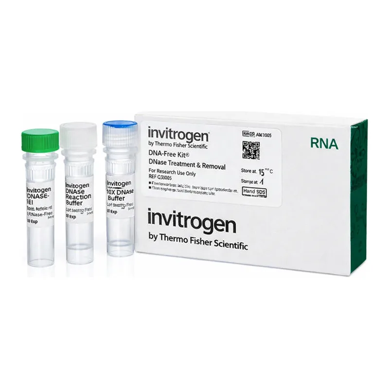 Thermo Fisher Scientific DNA-free DNA Removal Kit