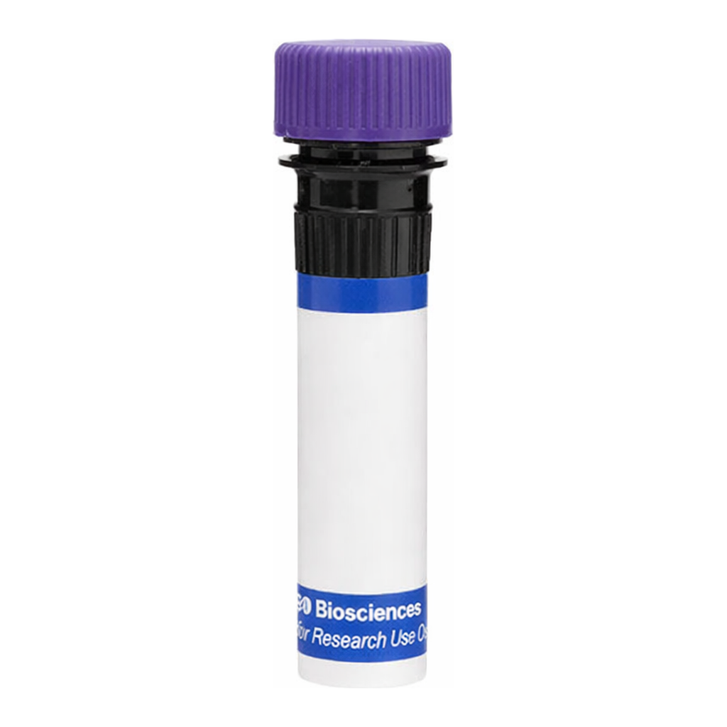 BD RB744 Mouse Anti-Human SIRPγ (CD172g)